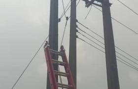 Maintenance & Support